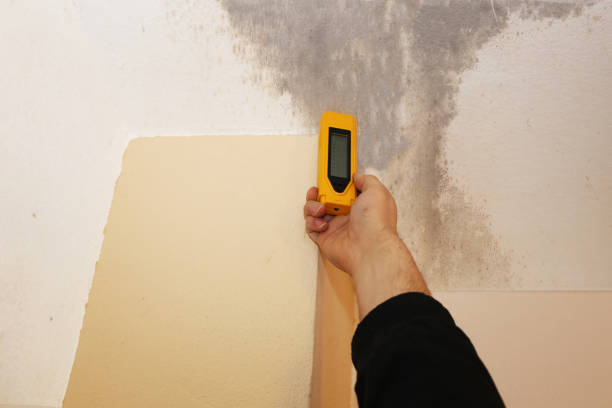 Best Mold Prevention Services  in Jerome, IL